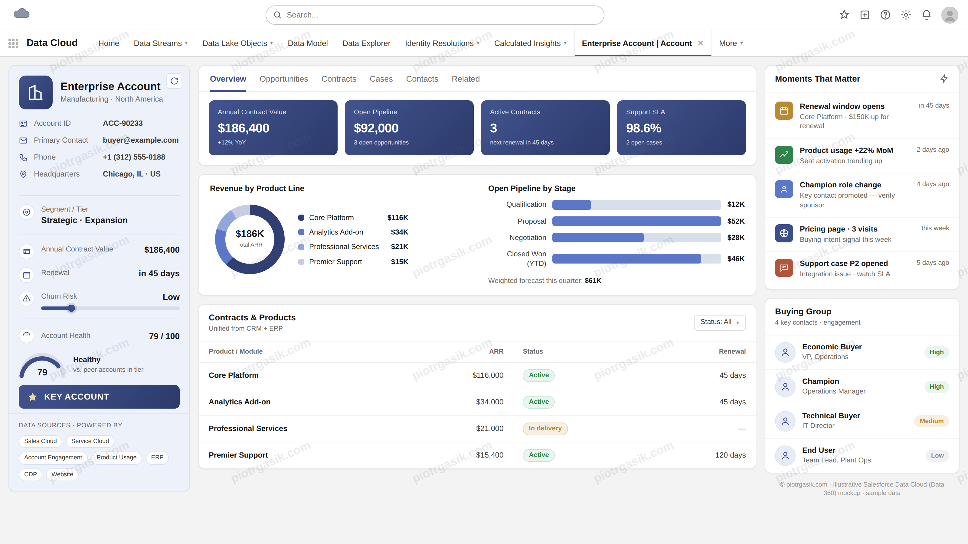 Example of Data 360 Unified Profile for B2B